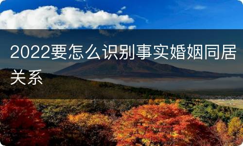 2022要怎么识别事实婚姻同居关系