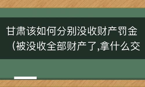 甘肃该如何分别没收财产罚金（被没收全部财产了,拿什么交罚金）