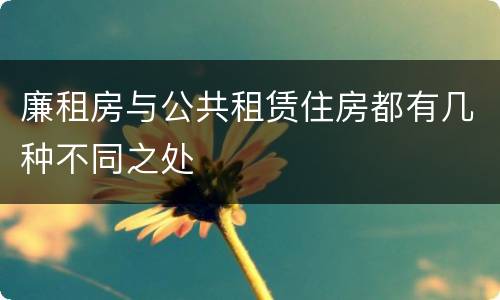 廉租房与公共租赁住房都有几种不同之处
