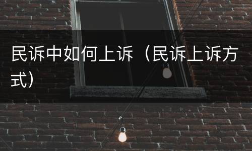 民诉中如何上诉（民诉上诉方式）