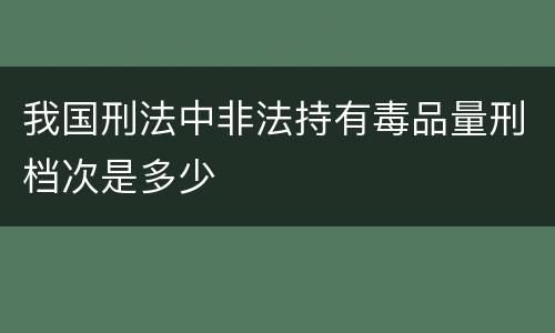 我国刑法中非法持有毒品量刑档次是多少
