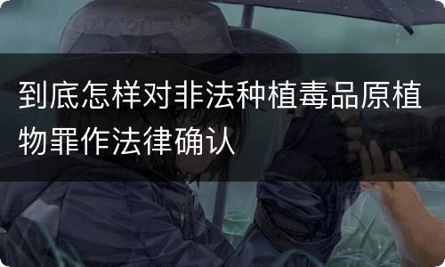 到底怎样对非法种植毒品原植物罪作法律确认