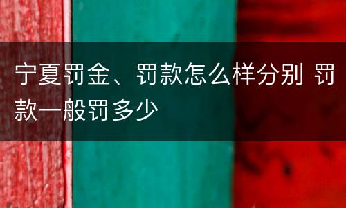 宁夏罚金、罚款怎么样分别 罚款一般罚多少