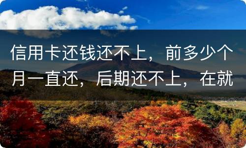 信用卡还钱还不上，前多少个月一直还，后期还不上，在就是无钱还，结婚会要怎样样