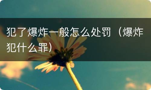 犯了爆炸一般怎么处罚（爆炸犯什么罪）