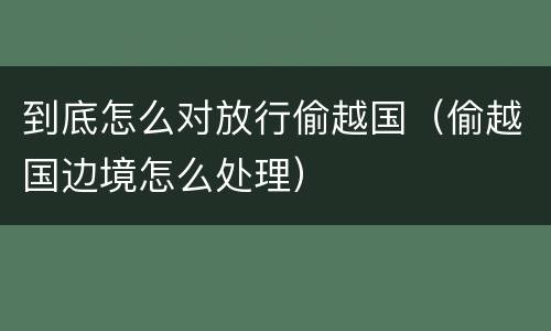 到底怎么对放行偷越国（偷越国边境怎么处理）