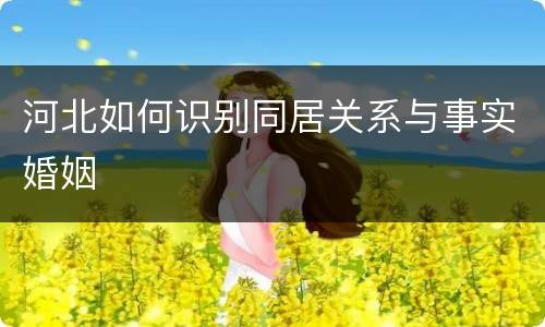 河北如何识别同居关系与事实婚姻