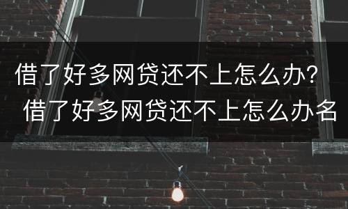 借了好多网贷还不上怎么办？ 借了好多网贷还不上怎么办名下有房