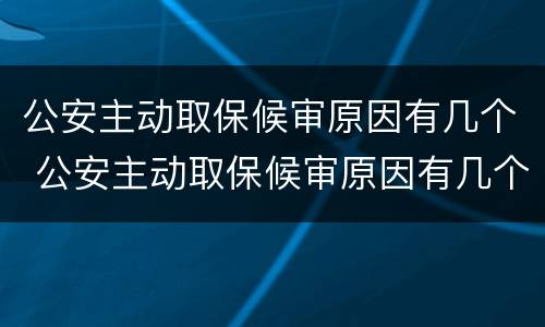 公安主动取保候审原因有几个 公安主动取保候审原因有几个阶段