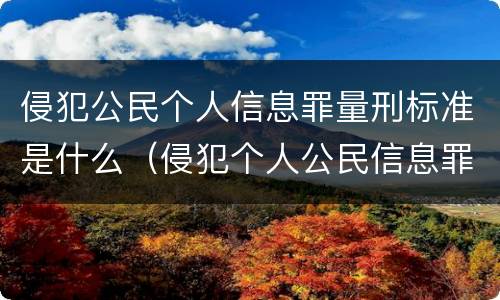 侵犯公民个人信息罪量刑标准是什么（侵犯个人公民信息罪的量刑）