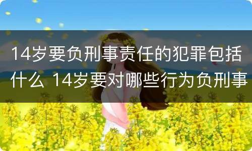14岁要负刑事责任的犯罪包括什么 14岁要对哪些行为负刑事责任