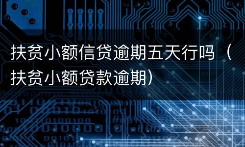 扶贫小额信贷逾期五天行吗（扶贫小额贷款逾期）