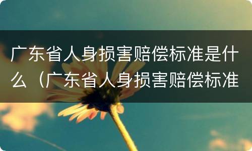 广东省人身损害赔偿标准是什么（广东省人身损害赔偿标准是什么样的）