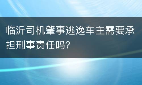 临沂司机肇事逃逸车主需要承担刑事责任吗？