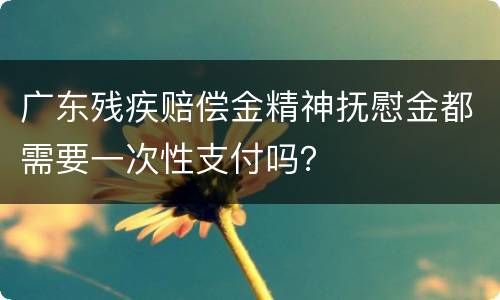 广东残疾赔偿金精神抚慰金都需要一次性支付吗？