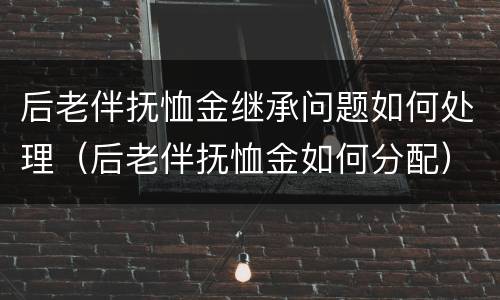 后老伴抚恤金继承问题如何处理（后老伴抚恤金如何分配）