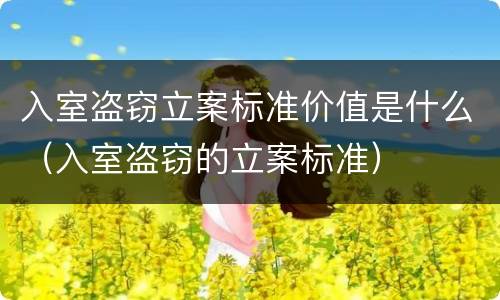 入室盗窃立案标准价值是什么（入室盗窃的立案标准）