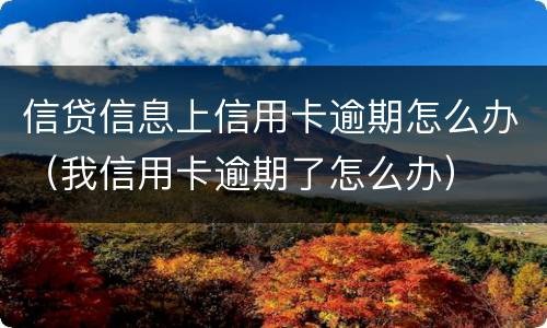 信贷信息上信用卡逾期怎么办（我信用卡逾期了怎么办）