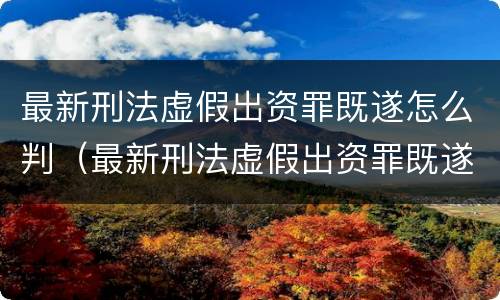 最新刑法虚假出资罪既遂怎么判（最新刑法虚假出资罪既遂怎么判定）
