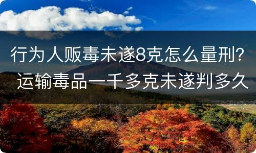 行为人贩毒未遂8克怎么量刑？ 运输毒品一千多克未遂判多久
