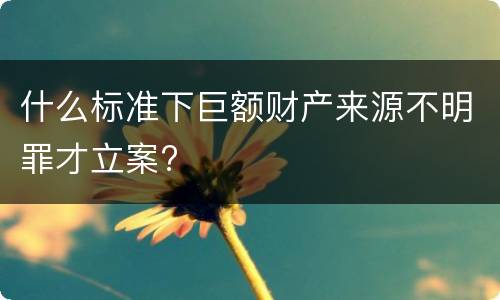 什么标准下巨额财产来源不明罪才立案?