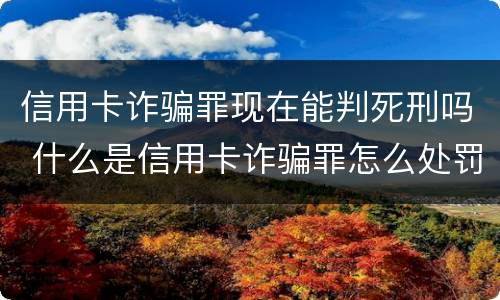 信用卡诈骗罪现在能判死刑吗 什么是信用卡诈骗罪怎么处罚