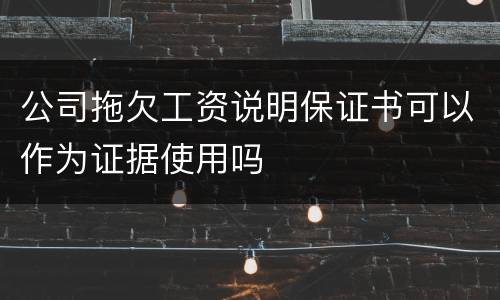 公司拖欠工资说明保证书可以作为证据使用吗