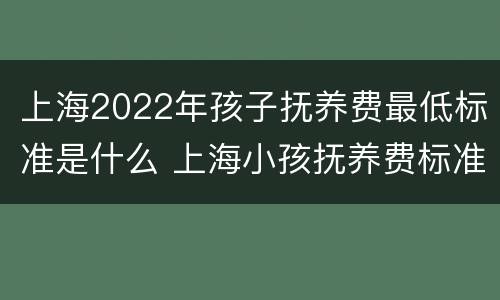上海2022年孩子抚养费最低标准是什么 上海小孩抚养费标准一月多少钱2020年