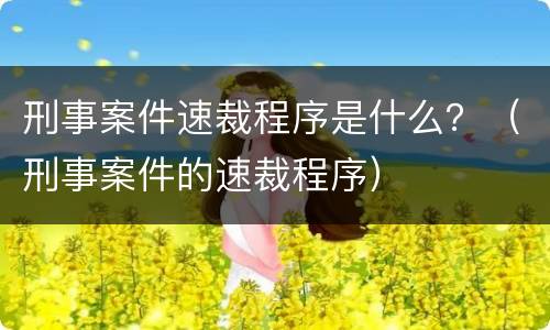 刑事案件速裁程序是什么？（刑事案件的速裁程序）