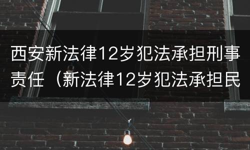 西安新法律12岁犯法承担刑事责任（新法律12岁犯法承担民事责任）