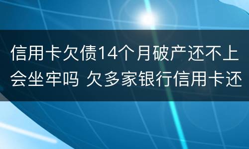 信用卡欠债14个月破产还不上会坐牢吗 欠多家银行信用卡还不上会坐牢吗
