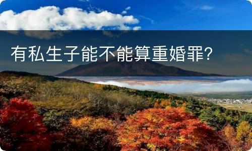 有私生子能不能算重婚罪？