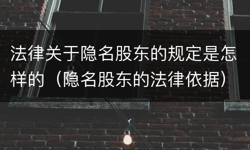 法律关于隐名股东的规定是怎样的（隐名股东的法律依据）