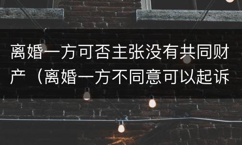 离婚一方可否主张没有共同财产（离婚一方不同意可以起诉吗）