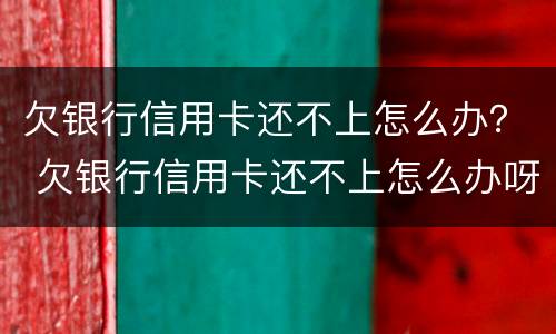 欠银行信用卡还不上怎么办？ 欠银行信用卡还不上怎么办呀