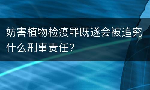妨害植物检疫罪既遂会被追究什么刑事责任?