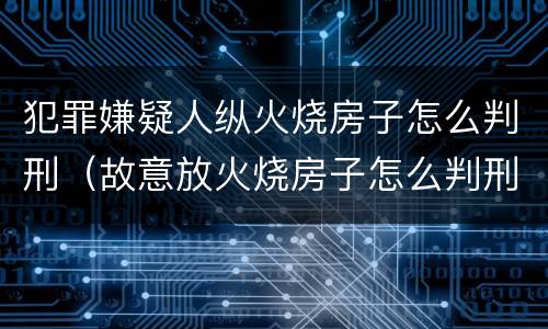 犯罪嫌疑人纵火烧房子怎么判刑（故意放火烧房子怎么判刑）