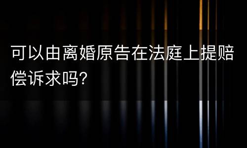 可以由离婚原告在法庭上提赔偿诉求吗？