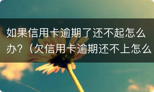 如果信用卡逾期了还不起怎么办?（欠信用卡逾期还不上怎么办）