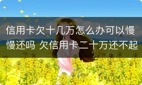 信用卡欠十几万怎么办可以慢慢还吗 欠信用卡二十万还不起,可以慢慢还吗