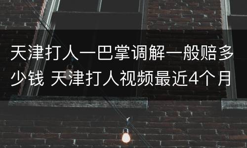 天津打人一巴掌调解一般赔多少钱 天津打人视频最近4个月