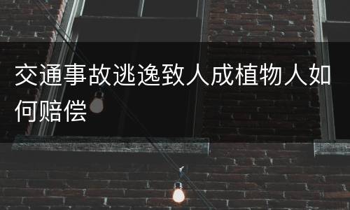 交通事故逃逸致人成植物人如何赔偿