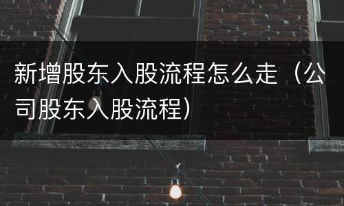 新增股东入股流程怎么走（公司股东入股流程）