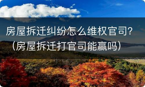 房屋拆迁纠纷怎么维权官司？（房屋拆迁打官司能赢吗）