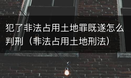 犯了非法占用土地罪既遂怎么判刑（非法占用土地刑法）