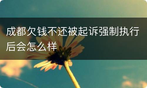 成都欠钱不还被起诉强制执行后会怎么样