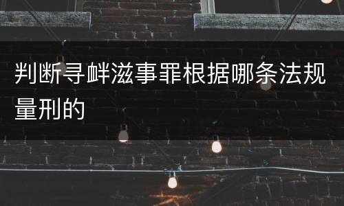 判断寻衅滋事罪根据哪条法规量刑的