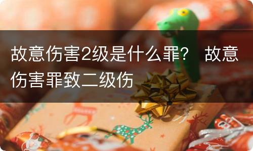 故意伤害2级是什么罪？ 故意伤害罪致二级伤