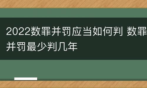 2022数罪并罚应当如何判 数罪并罚最少判几年