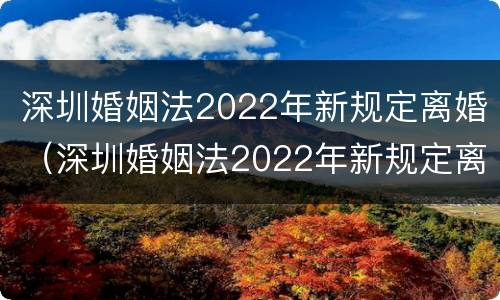 深圳婚姻法2022年新规定离婚（深圳婚姻法2022年新规定离婚财产分割）